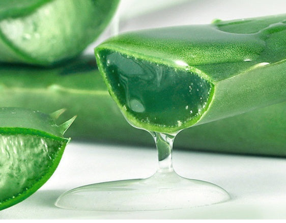 Aloe Gel Skin Care